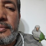 Gitano06Y from Rawson | Man | 54 years old | Pisces