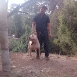 13Agostomars from Valle de Bravo | Man | 41 years old | Leo