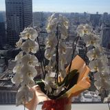 Erielle from Kawaguchi | Woman | 51 years old | Cancer