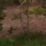 Dorgran1O from Tambau | Man | 54 years old | Sagittarius