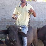Laddi from Barnala | Man | 41 years old | Pisces