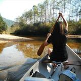 Hattie from Jacksonville Beach | Woman | 53 years old | Aries