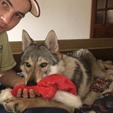 Slaninkaudi5H from Povazska Bystrica | Man | 37 years old | Capricorn