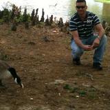 Tucson from Port Byron | Man | 35 years old | Libra
