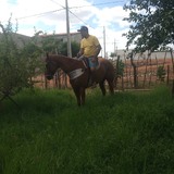 Galbertosb20Y from Jardim de Piranhas | Man | 51 years old | Scorpio