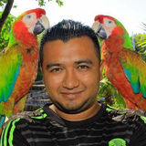 Ricalde from Tizimin | Man | 32 years old | Scorpio