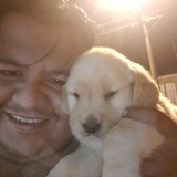 Mitovi99Z from Tarqui | Man | 45 years old | Gemini