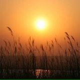 Rudi from Bruck an der Leitha | Man | 47 years old | Pisces
