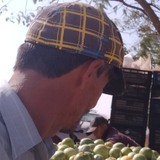Goliveirasilcn from Palmas de Monte Alto | Man | 49 years old | Libra