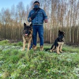 Ayalarege19M from Schaarbeek | Man | 35 years old | Scorpio