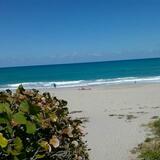 Thomasine from Murphy | Woman | 51 years old | Scorpio