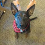 Aubyn from Monroe | Man | 32 years old | Scorpio